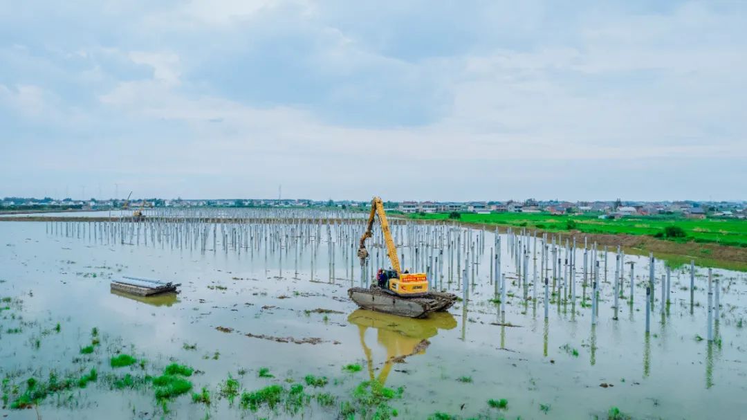 pp电子·(中国)官方网站
